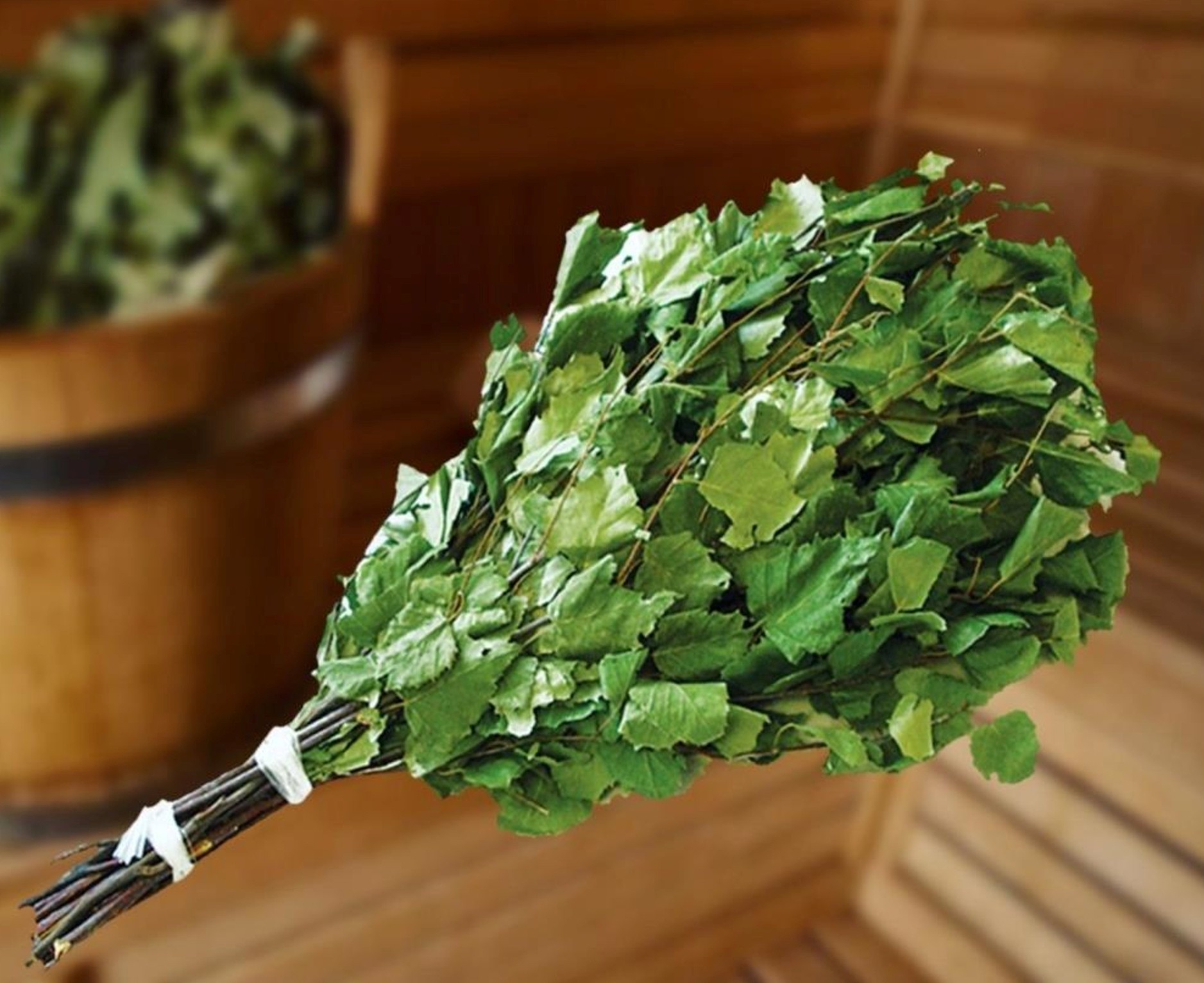 Веник банный ТОПОЛЬ